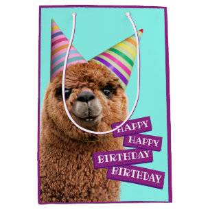 Alpaca War-Hattar i Party