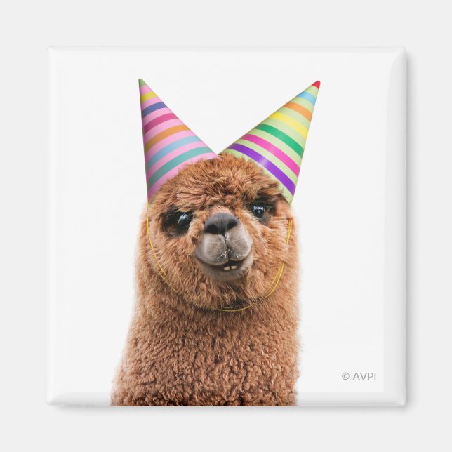 Alpaca War-Hattar i Party Magnet (Framsidan)