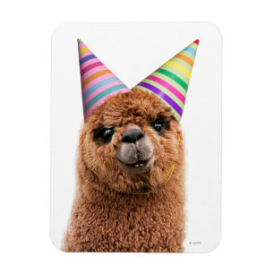 Alpaca War-Hattar i Party Magnet