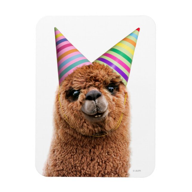 Alpaca Wearing Party Hats Magnet (Vertikal)