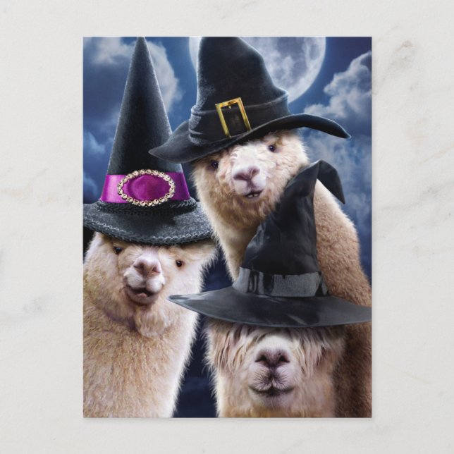 Alpaca Witches Inbjudan Vykort (Framsida)