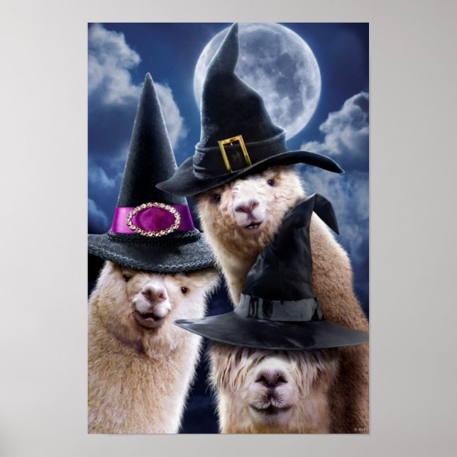 Alpaca Witches Poster (Framsidan)