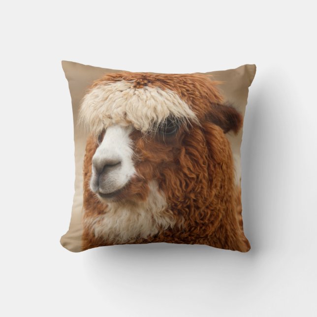 Alpacadekorativ kudde (Framsida)