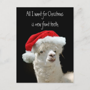 Alpacajul Helg Vykort