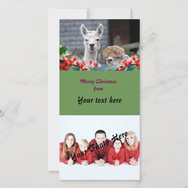 Alpacajul Julkort (Framsida)