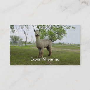Alpacaklippning Visitkort