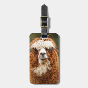 Alpacaleenden Bagagebricka