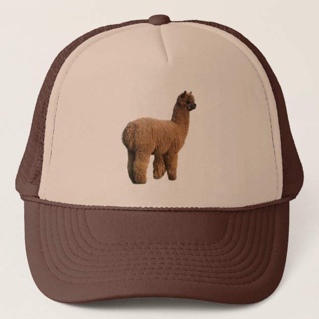 Alpacamagilock Keps (Framsida)