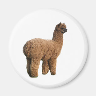 Alpacamagimagnet Magnet