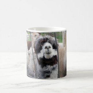 Alpacamugg:) Kaffemugg
