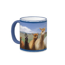 Alpacamuggar för honom