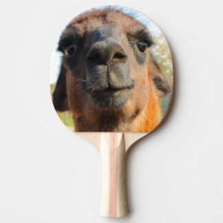 Alpacapingen Pong paddlar Pingisracket