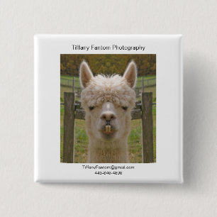 AlpacaPromobiet Knapp