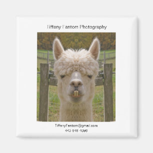 AlpacaPromobiet Magnet