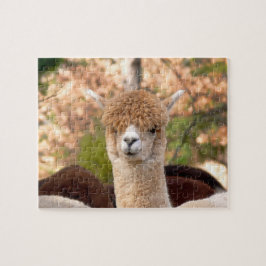 Alpacapussel med gåvan boxas pussel