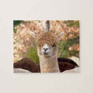 Alpacapussel med gåvan boxas pussel