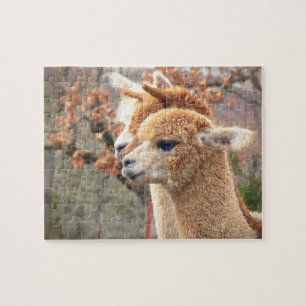 Alpacapussel Sarah Pussel