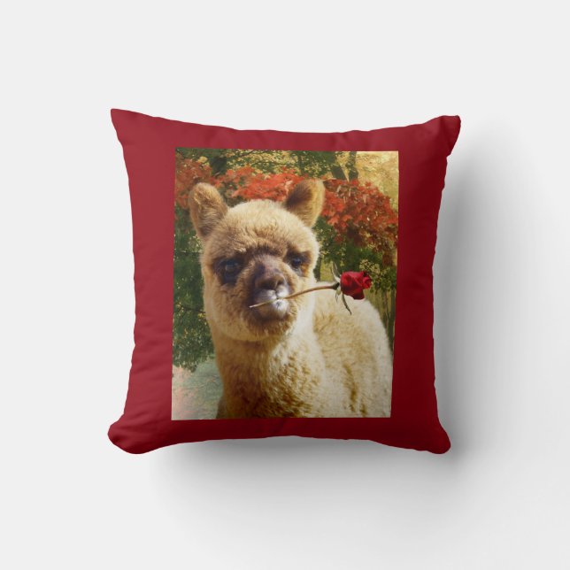 Alpacaron kudder kudde (Framsida)