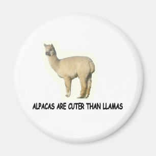 Alpacas är mer gullig än llamas magnet