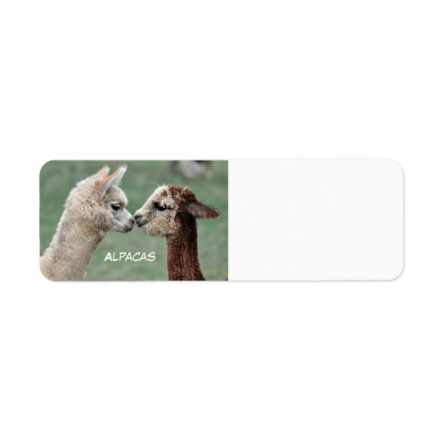 Alpacas etikett returadress etikett (Framsidan)