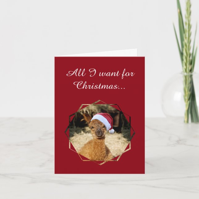 Alpacas julkort helgkort (Framsida)