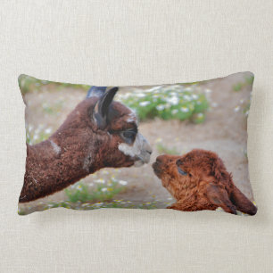 Alpacas kudder lumbarkudde