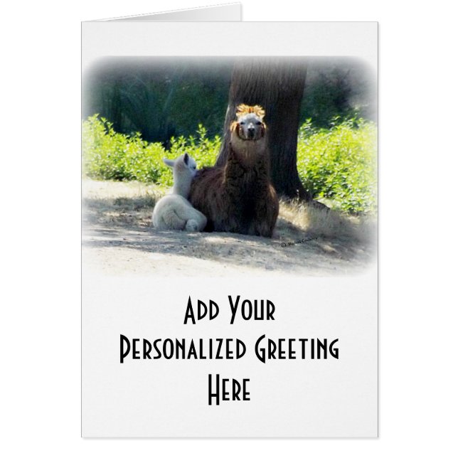 Alpacas - mamma & baby hälsningskort (Framsidan)