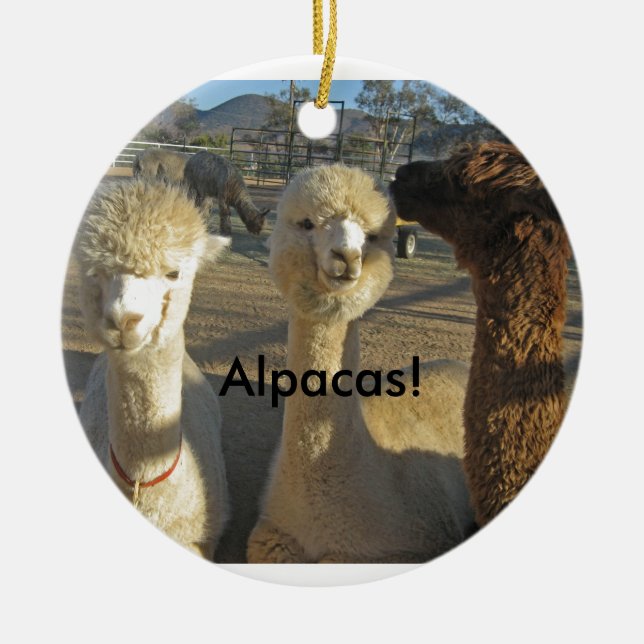 Alpacas! Prydnad Julgransprydnad Keramik (Framsidan)