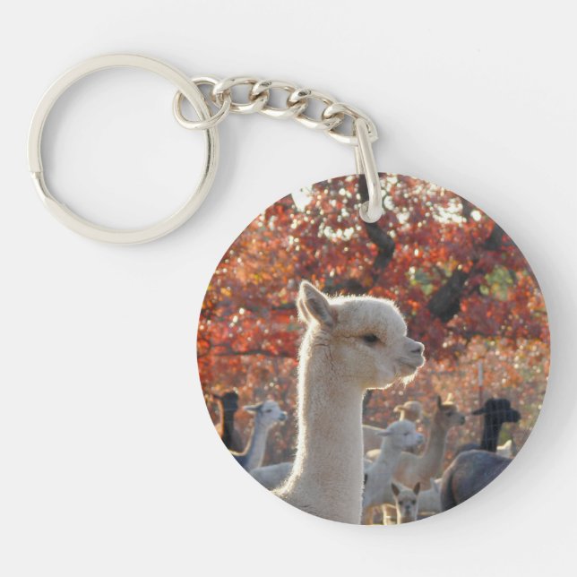 AlpacaScriptureakryl Keychain (Framsidan)