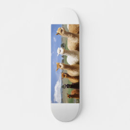 AlpacaSkateboard Skateboard Bräda 19,5 Cm