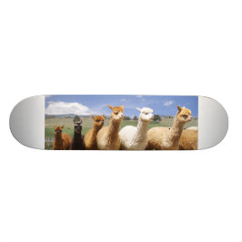 AlpacaSkateboard Skateboard Bräda 19,5 Cm