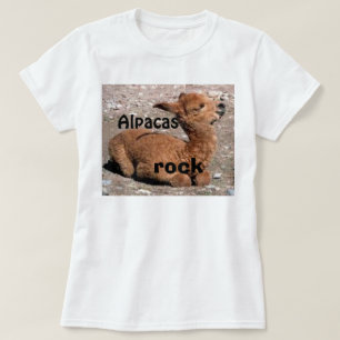 AlpacasSTEN Tee