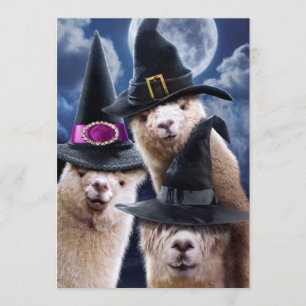 Alpacasvingar Inbjudningar