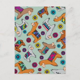 Alpacasvykort Vykort