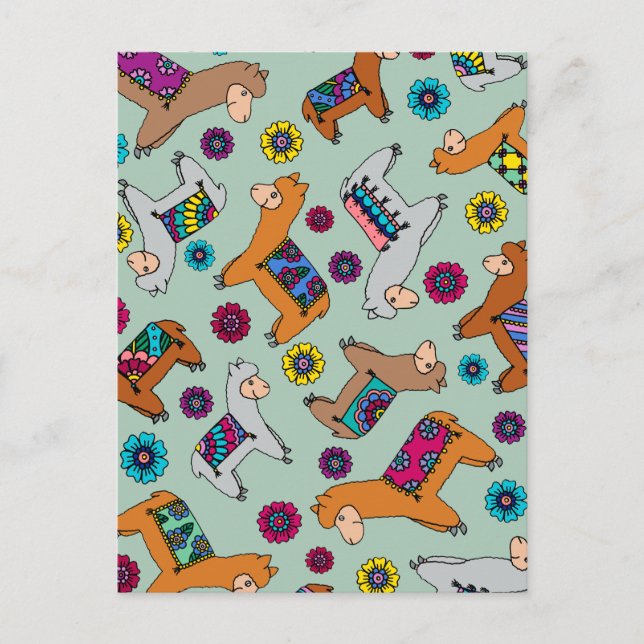 Alpacasvykort Vykort (Framsida)