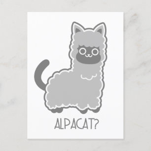 Alpacat? Vykort