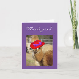 Alpacatackkort Tack Kort