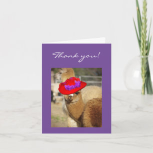 Alpacatackkort Tack Kort