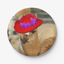Alpacatallrikar