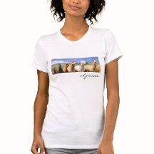 Alpacatshirt