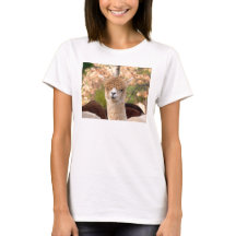 Alpacatshirts