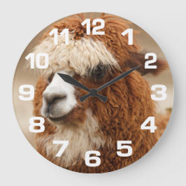 Alpacaväggen tar tid på stor klocka