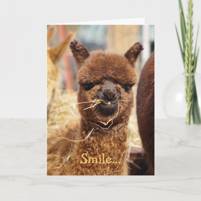 Alpacitetskort i lycklig kort (Framsida)
