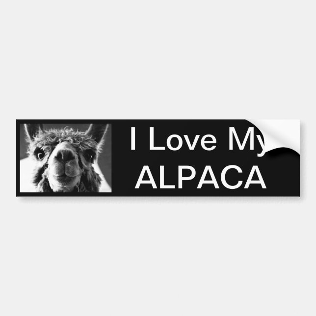 Alpacka Bildekal (Framsidan)
