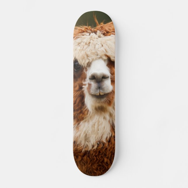 Alpacka Skateboard Bräda 20,5 Cm (Framsida)