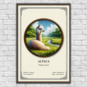 Alpacka Zoologi Serie Poster