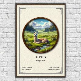 Alpacka Zoologi Serie Poster