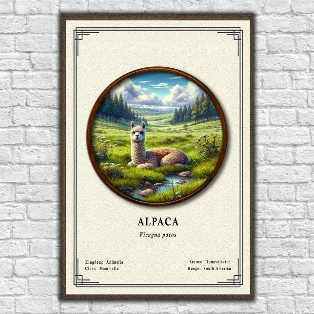 Alpacka Zoologi Serie Poster (Skapare uppladdad)