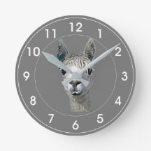 Alpakka Alpaka Alpaga