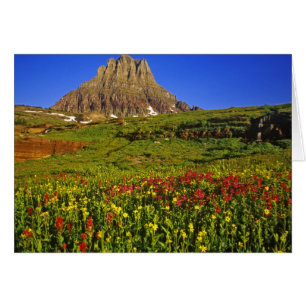 Alpblommor vid Logan Pass i Glacier Hälsningskort